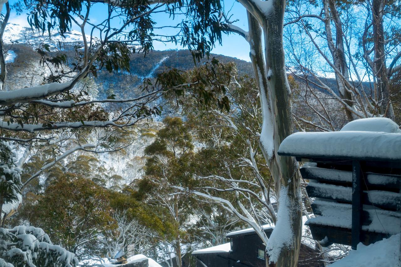 Pure Chalet Thredbo Ngoại thất bức ảnh